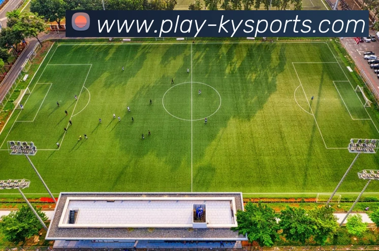 多媒体互动体验